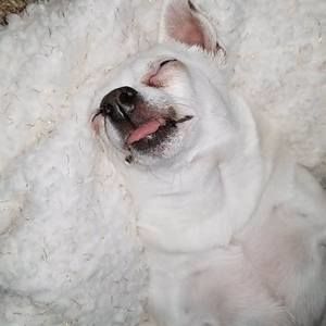 Meet your Posher, Patricia